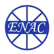 Auditor Logo